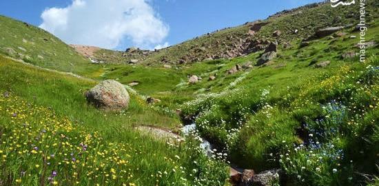 عکس پروفایل طبیعت اردبیل