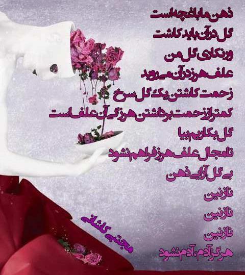 عکس نوشته ذهن زیبا