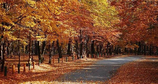 عکس طبیعت زیبا گیلان