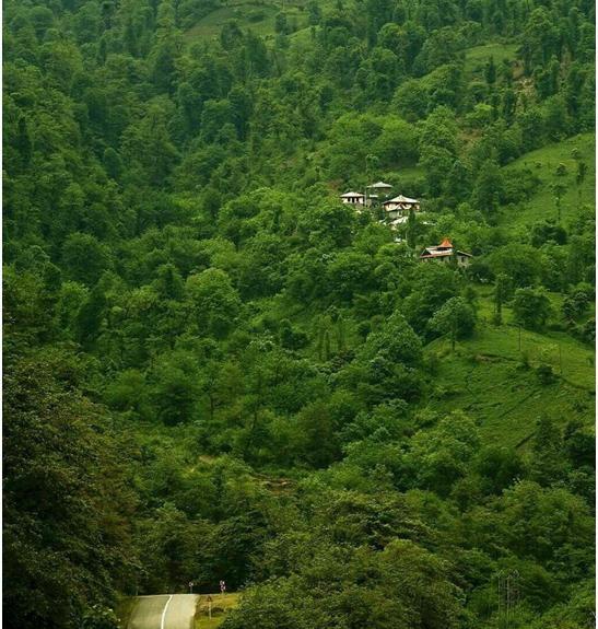 عکس طبیعت زیبا گیلان
