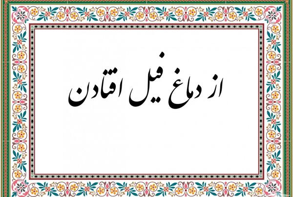 عکس ضرب المثل فیل