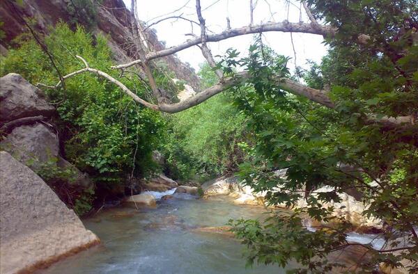 عکس طبیعت نوراباد ممسنی