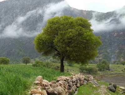 عکس طبیعت نوراباد ممسنی