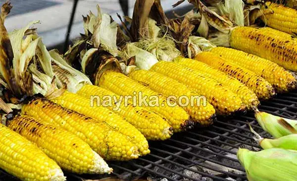 عکس ذرت خوراکی