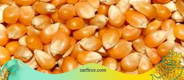 عکس ذرت خوراکی