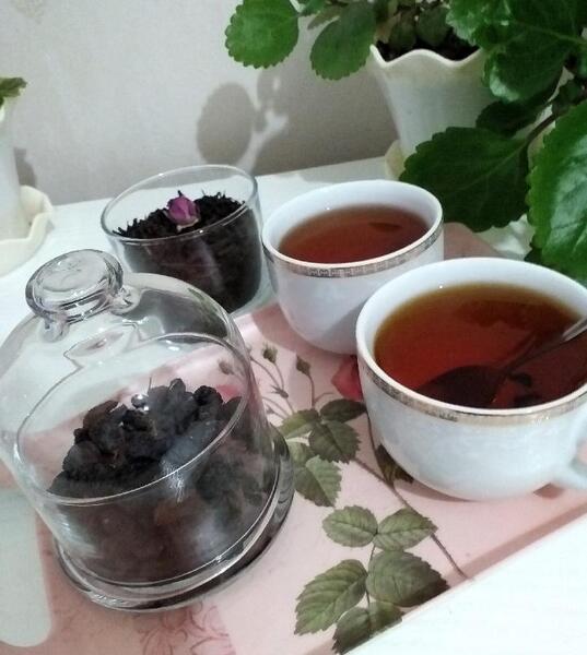 عکس چای شمال