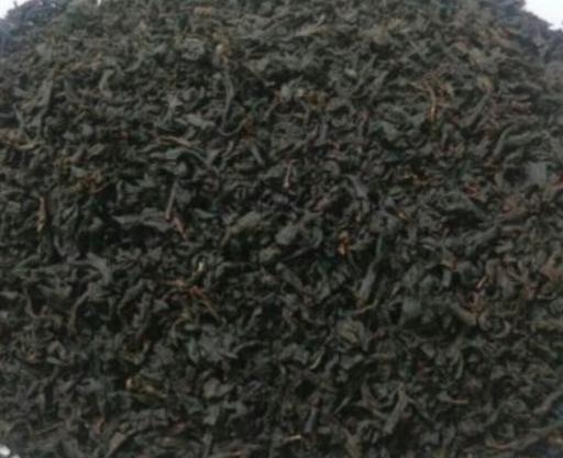 عکس چای شمال