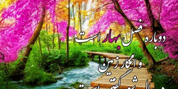 عکس پروفایل طبیعت عاشقانه