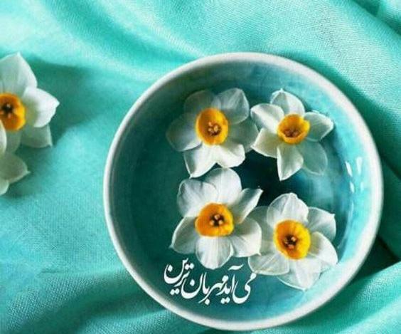 عکس گل نرگس برای پروفایل