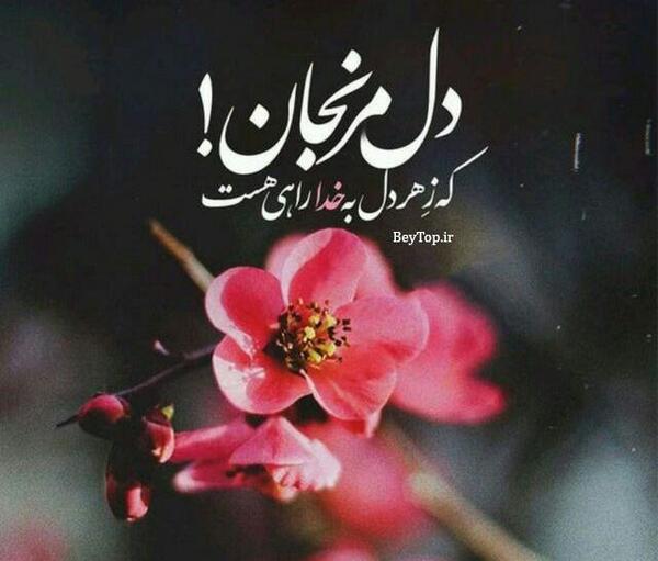 عکس نوشته خدا روی گل