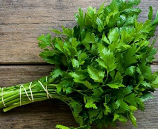 عکس جعفری خشک شده