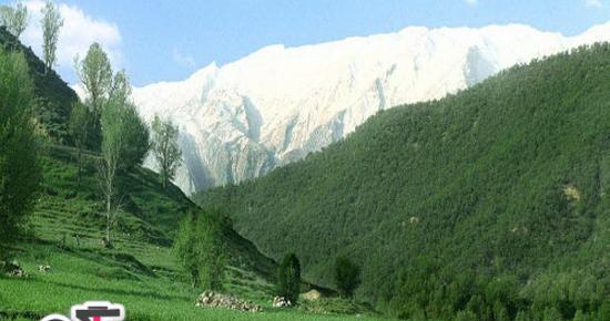 عکس از طبیعت شهرکرد