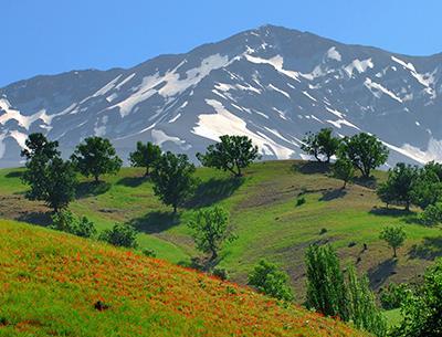 عکس از طبیعت شهرکرد