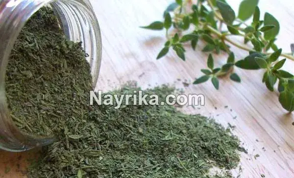 عکس گیاه آویشن