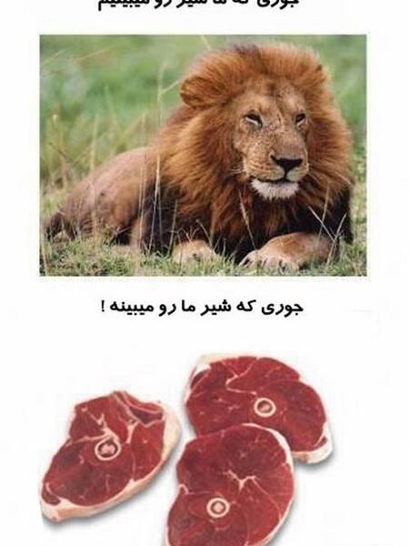 عکس خنده شیر