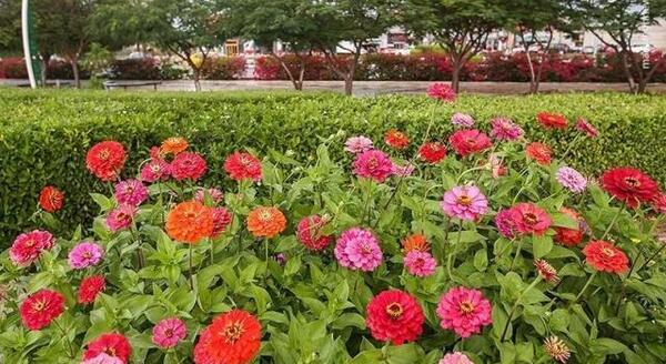 عکس طبیعت زیبای کیش