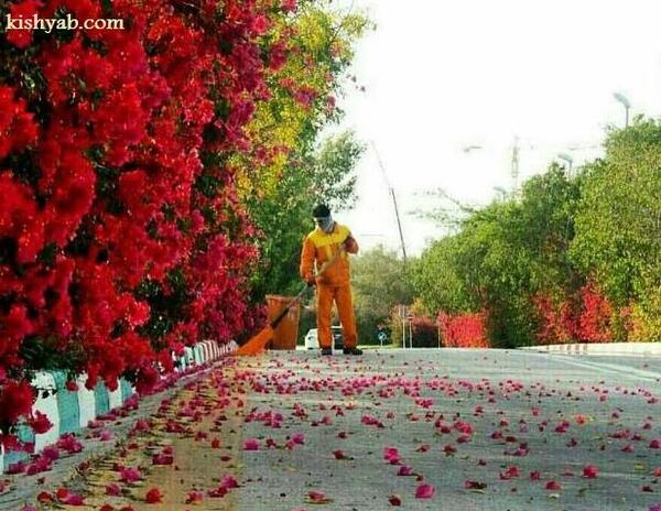 عکس طبیعت زیبای کیش