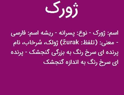 عکس حیوان ژورک