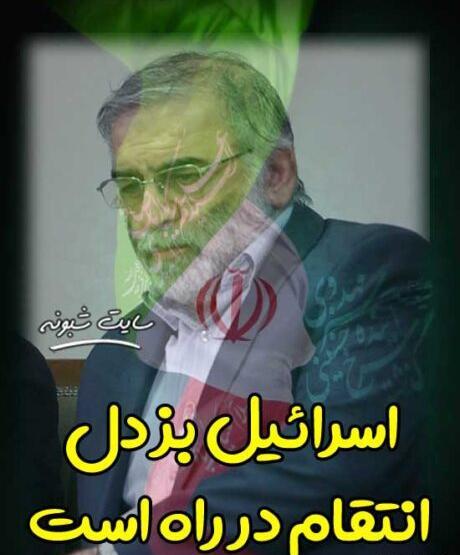 عکس ایران تسلیت محسن فخری زاده