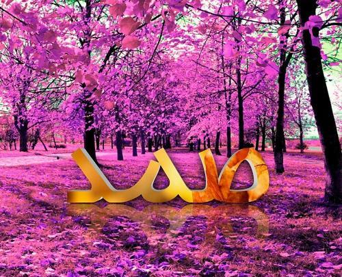 عکس تولد صمد