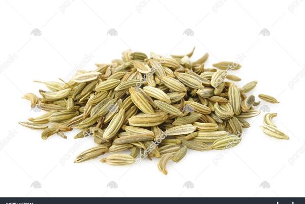 عکس دانه رازیانه