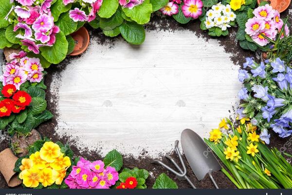 عکس بهاری قدیمی