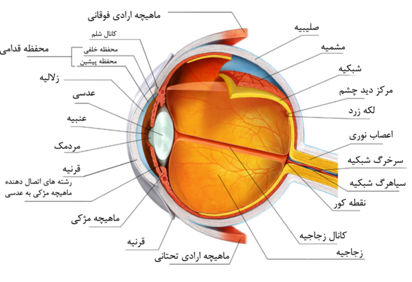 عکس چشم ضعیف