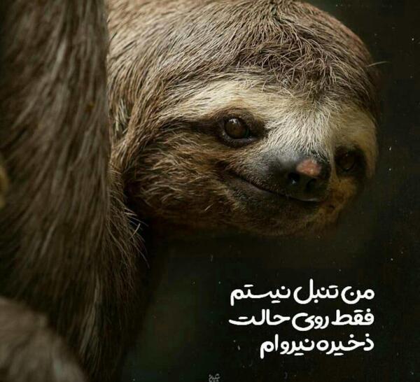 ذخیره عکس های عاشقانه