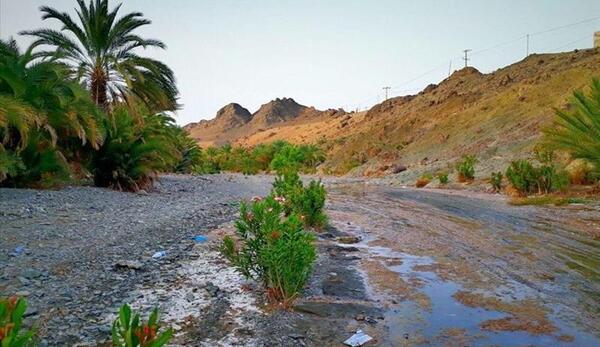 عکس از طبیعت جنوب ایران