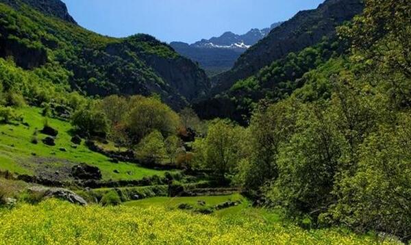 عکس از طبیعت جنوب ایران