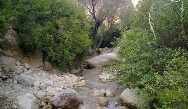 عکس از طبیعت جنوب ایران