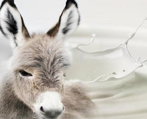عکس ضرب المثل بار کج به منزل نمیرسد