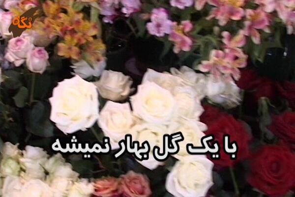 عکس ضرب المثل با یک گل بهار نمی شود