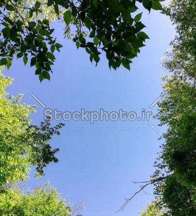 عکس آسمان آبی