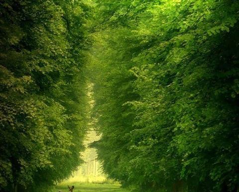 عکس پروفایل طبیعت فول اچ دی