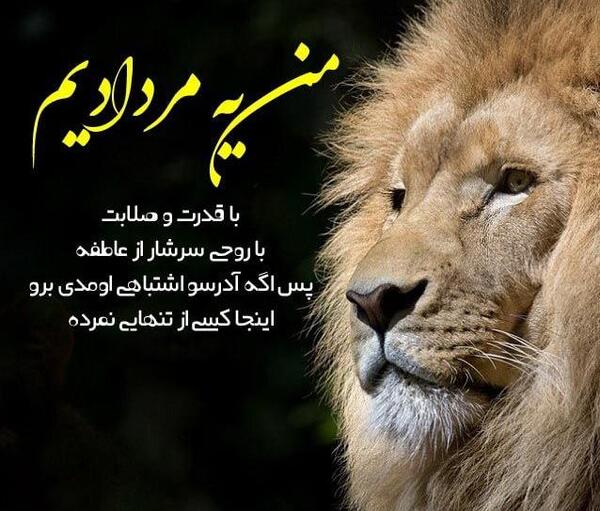 عکس شیر برا پروفایل