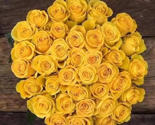 عکس پروفایل عاشقانه زرد