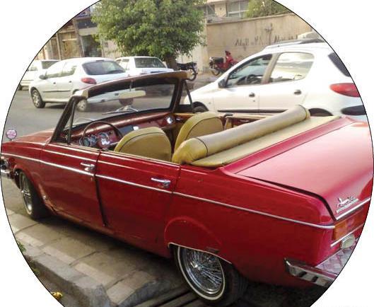 عکس ژیان نارنجی