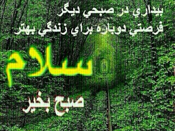 عکس شب بخیر بابایی