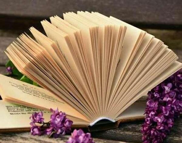 عکس زیبا برای پروفایل کتاب