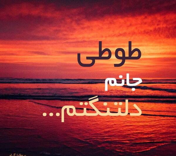 عکس طوطی غمگین