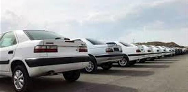 عکس شیر شوتی