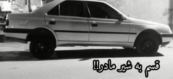 عکس شیر شوتی