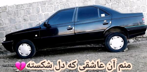 عکس شیر شوتی