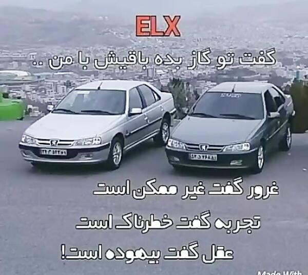 عکس شیر شوتی