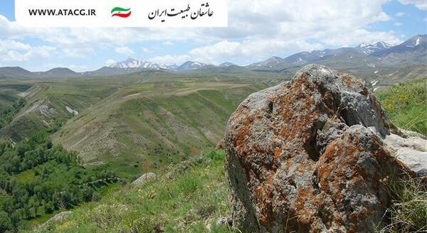 عکس شاه یوردی