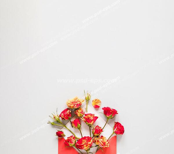 عکس گل غنچه