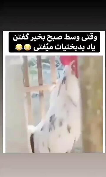 عکس خنده دار صبح