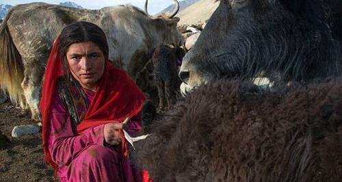 عکس عجیب طالبان