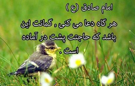 عکس طبیعت نوشته دار